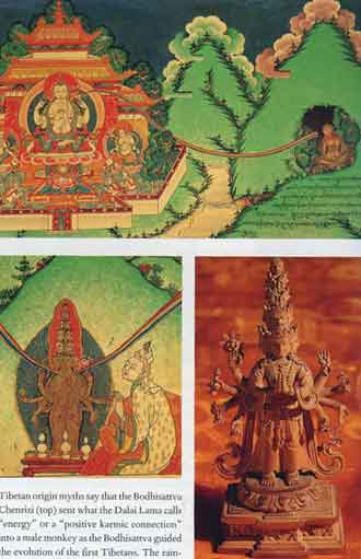 
Tibetan origin myth of Chenrezi sending Energy into a male monkey guiding the first Tibetans. LL: Songtsen Gampo has link to Chenrezi and unified Tibet in 7C. LR: Myth says Songtsen Gampo disolved into a tiny Wooden statue of Chenrezi. - The Story Of Tibet book
